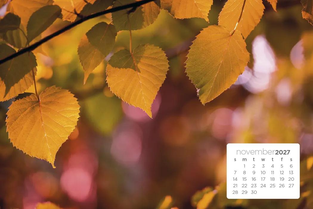 Simplicity Large Desk Calendar Tent Mount FSC - 6.5 x 7.5 in - product view 16