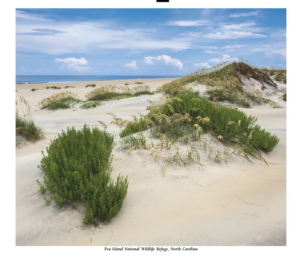 Scenic America Pocket Calendar Storage Pockets - 16.125 x 8 in - product view 11