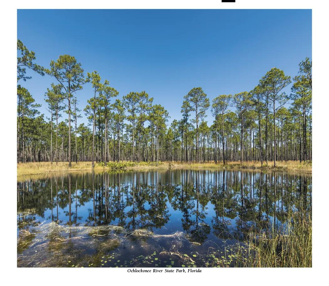 Scenic America Pocket Calendar Storage Pockets - 16.125 x 8 in - product view 13