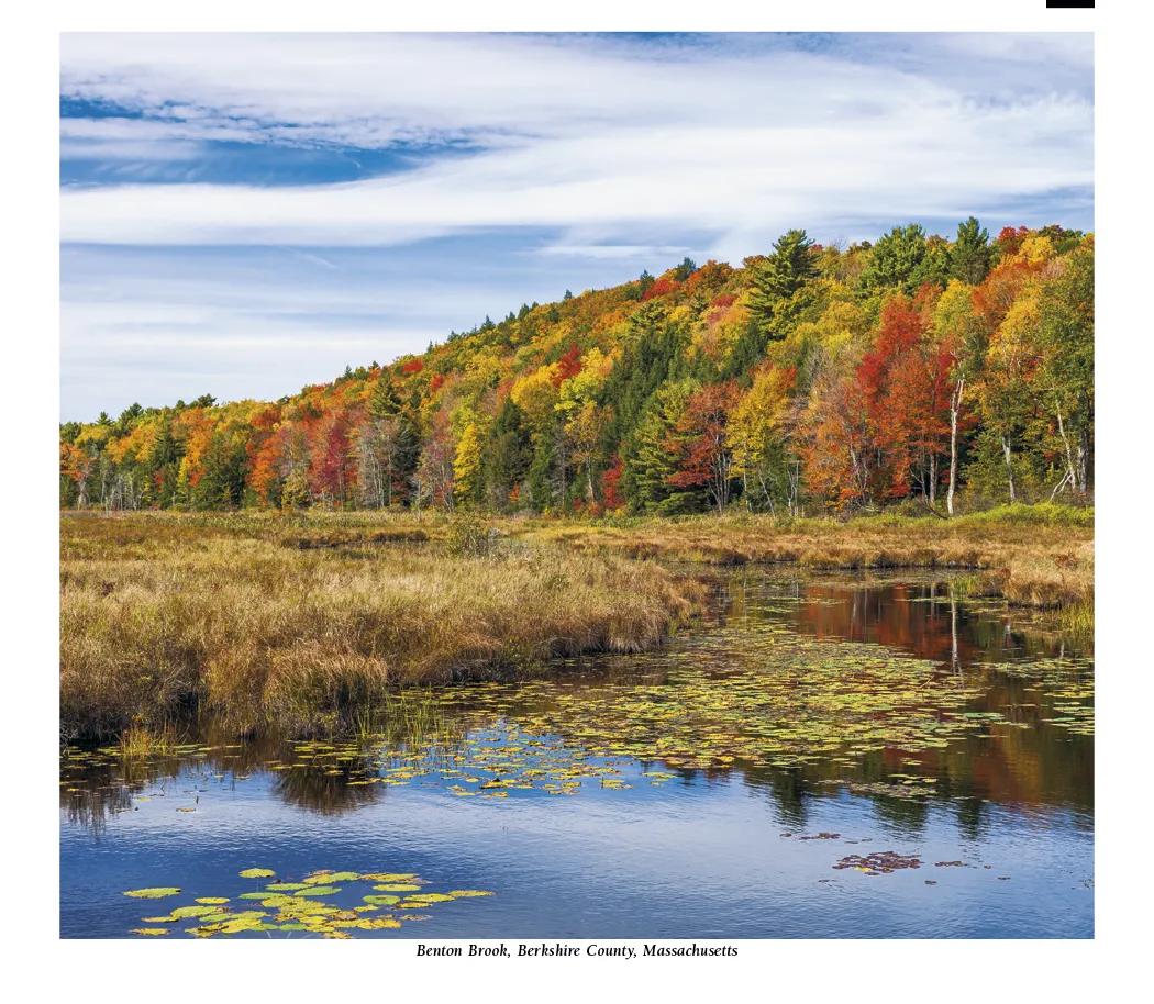 Scenic America Pocket Calendar Storage Pockets - 16.125 x 8 in - product view 16