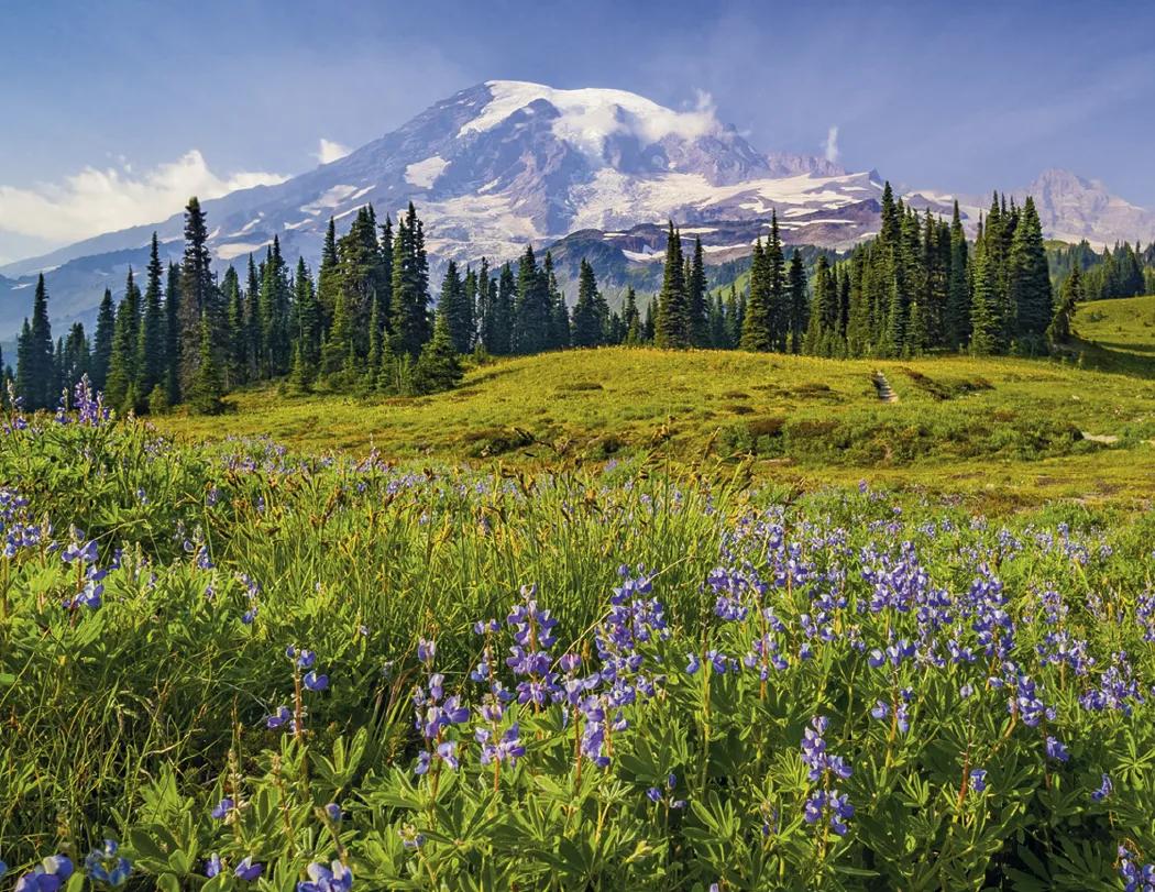 Decorator Wall Calendar Tan Background Large Dates - 25 x 18 in - product view 9