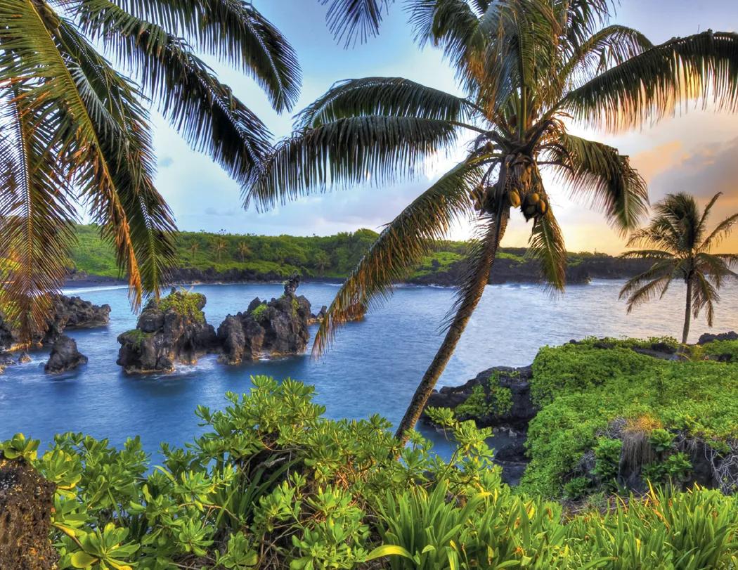 Decorator Wall Calendar Tan Background Large Dates - 25 x 18 in - product view 12