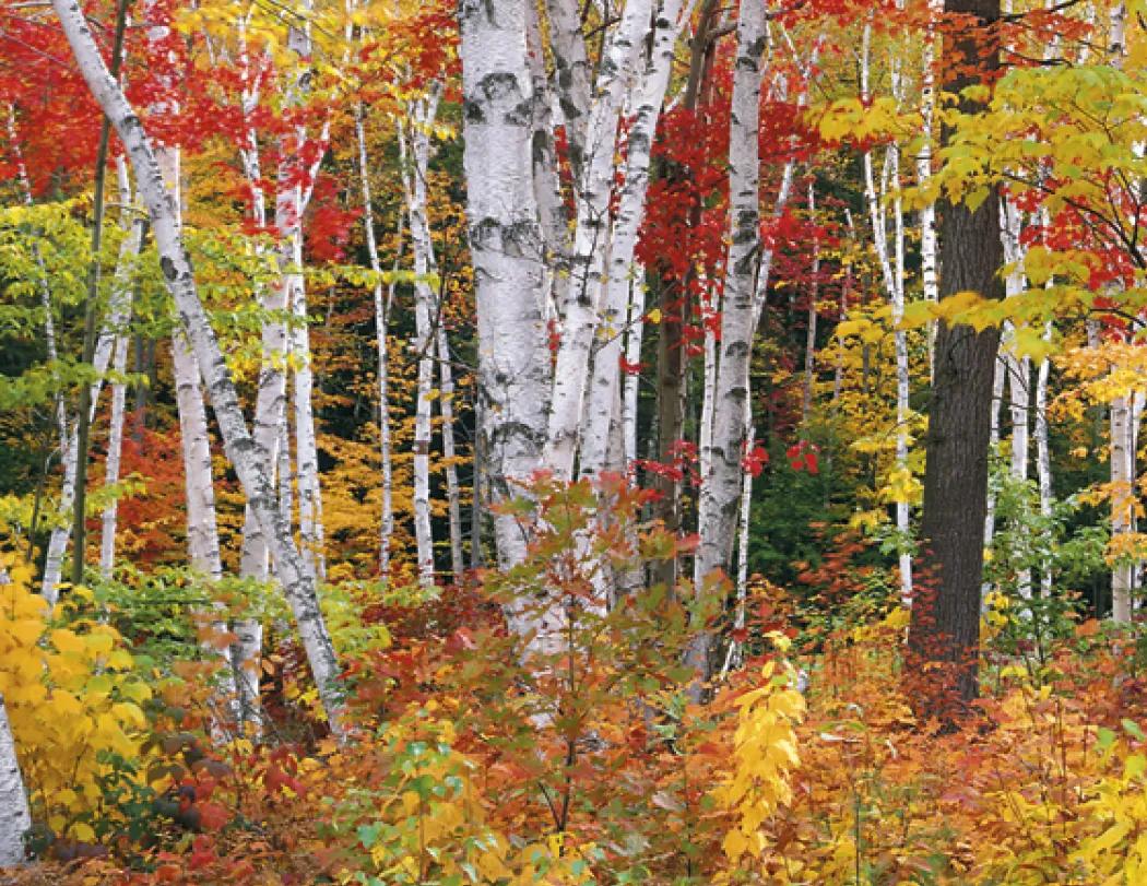 Decorator Wall Calendar Tan Background Large Dates - 25 x 18 in - product view 13