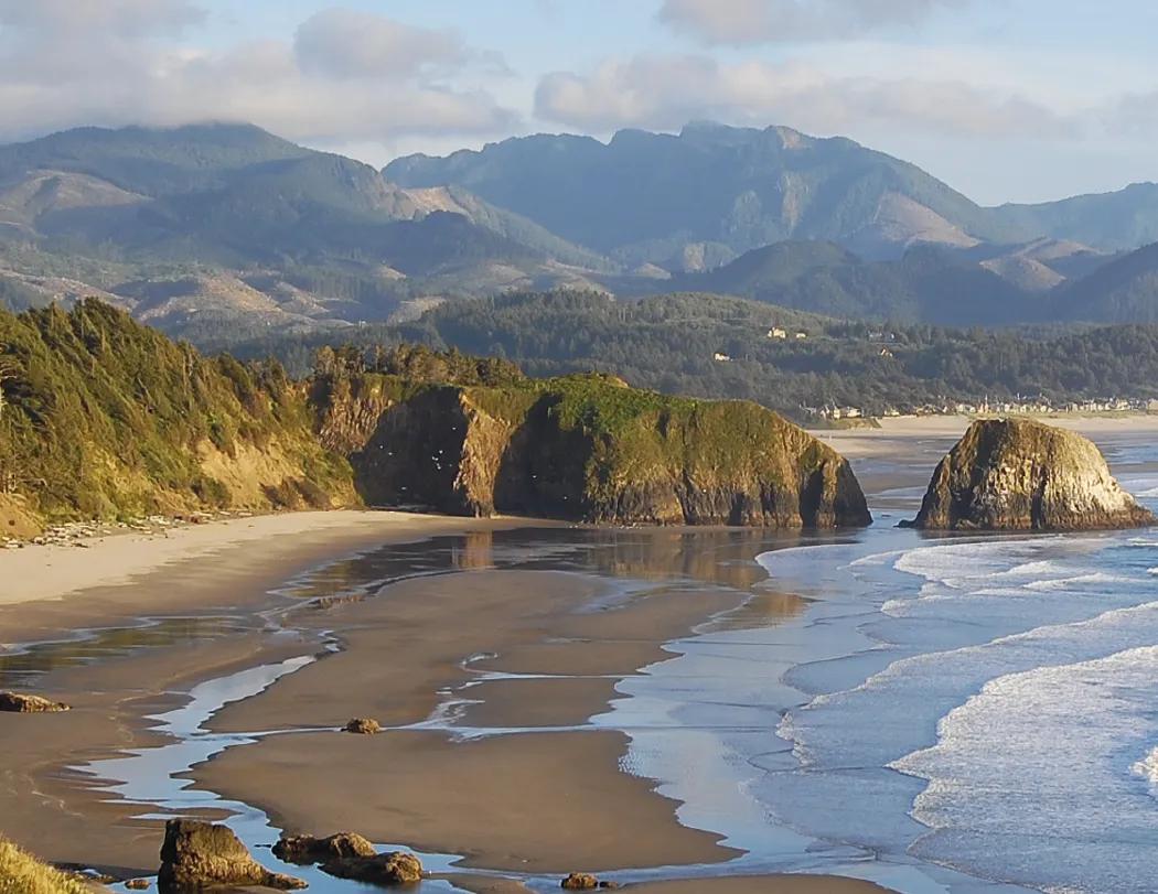 Decorator Wall Calendar White Background Large Dates - 25 x 18 in - product view 7