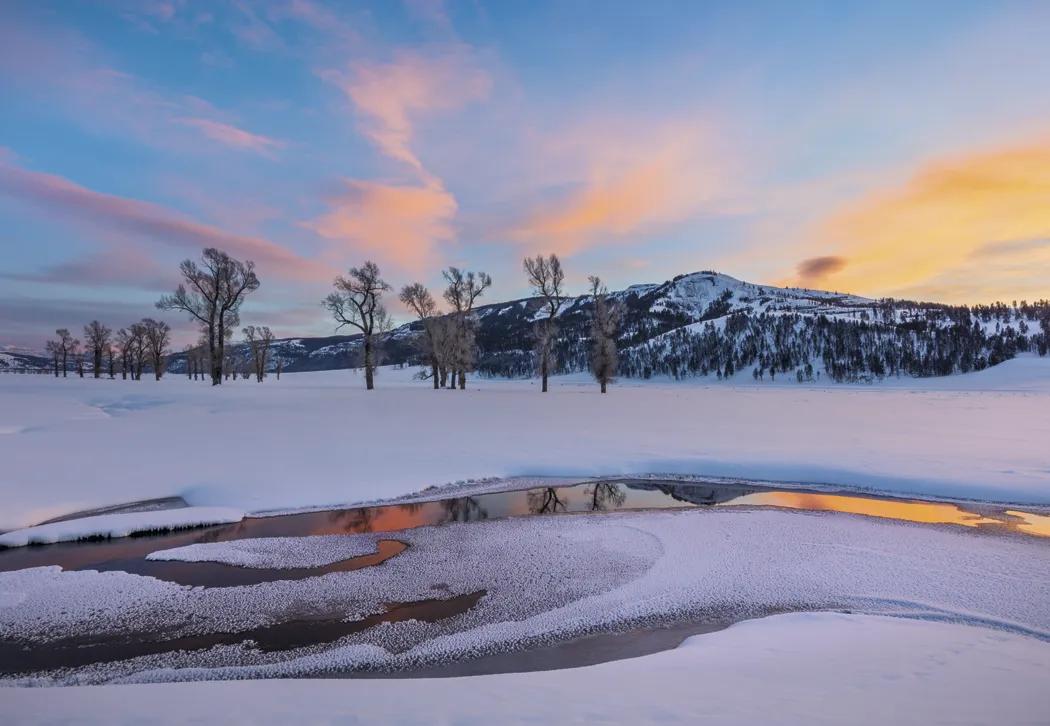 Beautiful America Executive Calendar FSC Paper UV - 24 x 16.5 in - product view 5