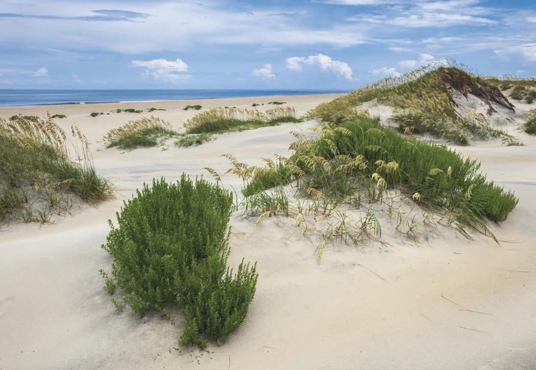 Beautiful America Executive Calendar FSC Paper UV - 24 x 16.5 in - product view 9