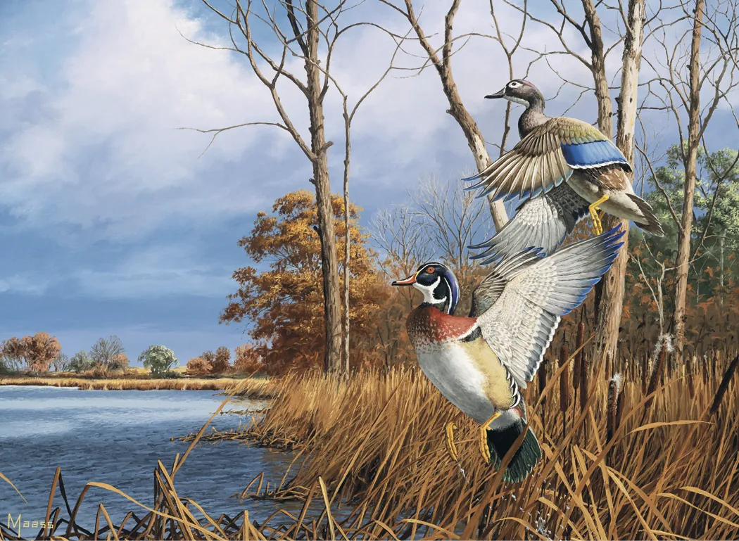 Maass Wildfowl Executive Calendar Wildlife Art FSC - 24 x 16.5 in - product view 4