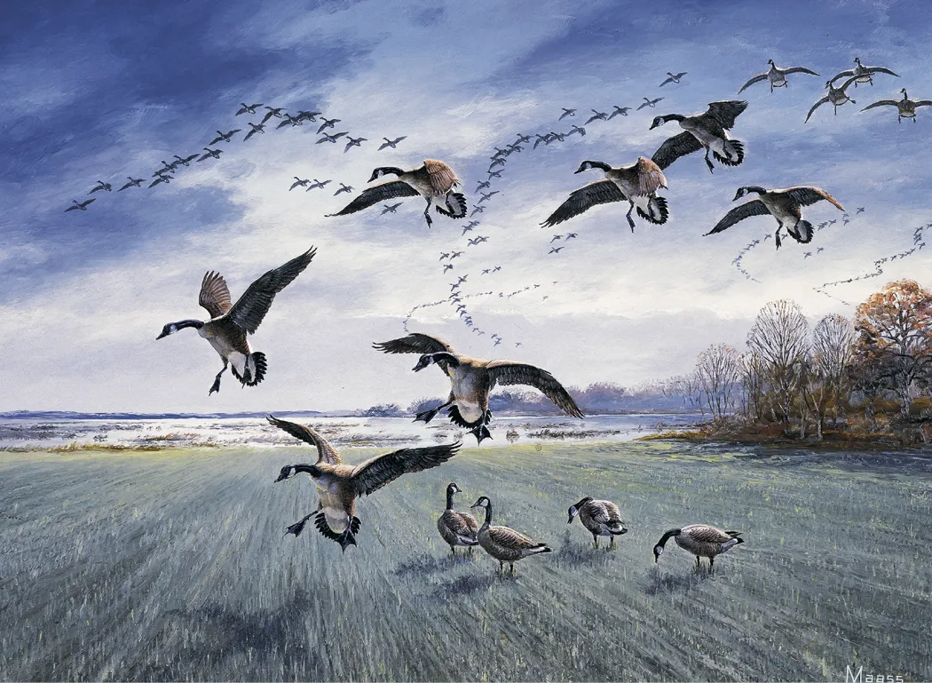 Maass Wildfowl Executive Calendar Wildlife Art FSC - 24 x 16.5 in - product view 5