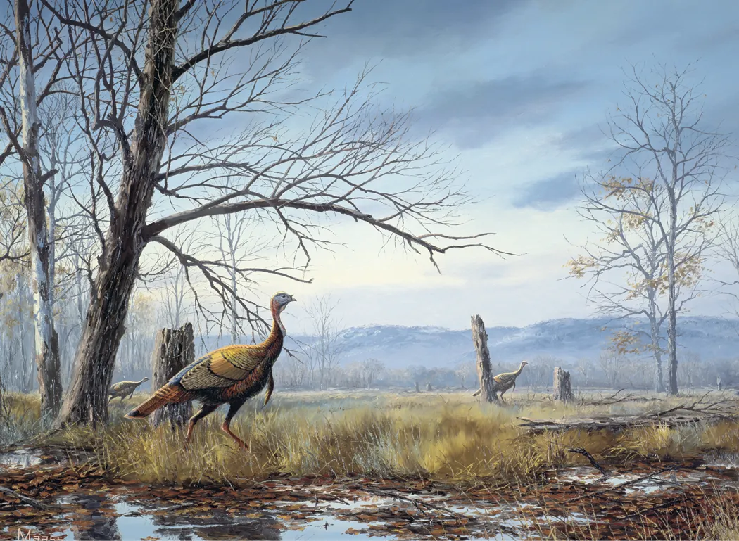 Maass Wildfowl Executive Calendar Wildlife Art FSC - 24 x 16.5 in - product view 7