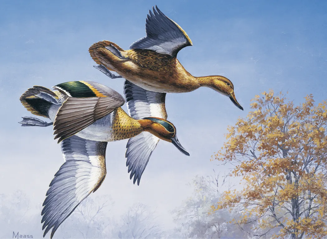 Maass Wildfowl Executive Calendar Wildlife Art FSC - 24 x 16.5 in - product view 8