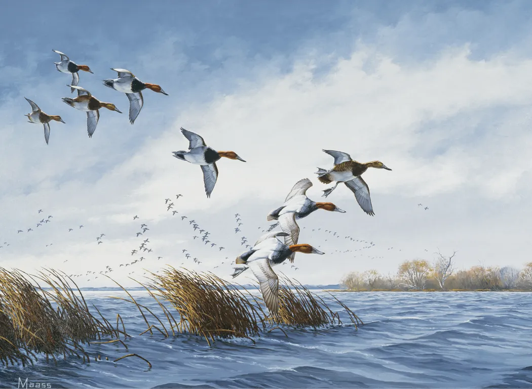 Maass Wildfowl Executive Calendar Wildlife Art FSC - 24 x 16.5 in - product view 9