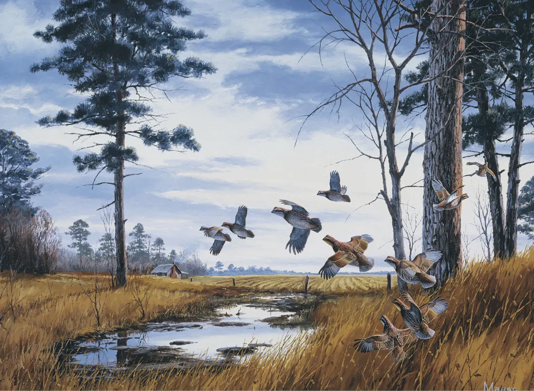 Maass Wildfowl Executive Calendar Wildlife Art FSC - 24 x 16.5 in - product view 11