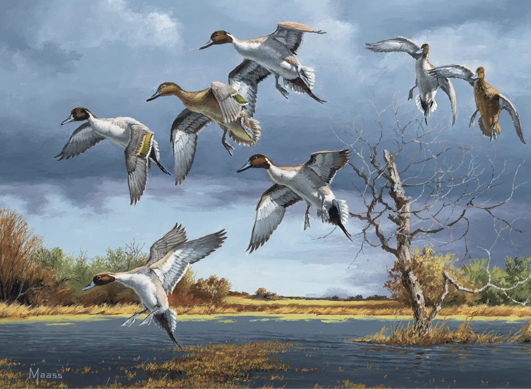 Maass Wildfowl Executive Calendar Wildlife Art FSC - 24 x 16.5 in - product view 14