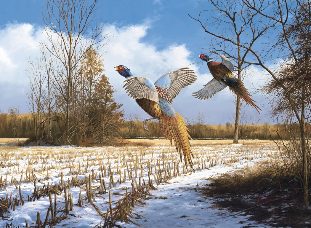 Maass Wildfowl Executive Calendar Wildlife Art FSC - 24 x 16.5 in - product view 15