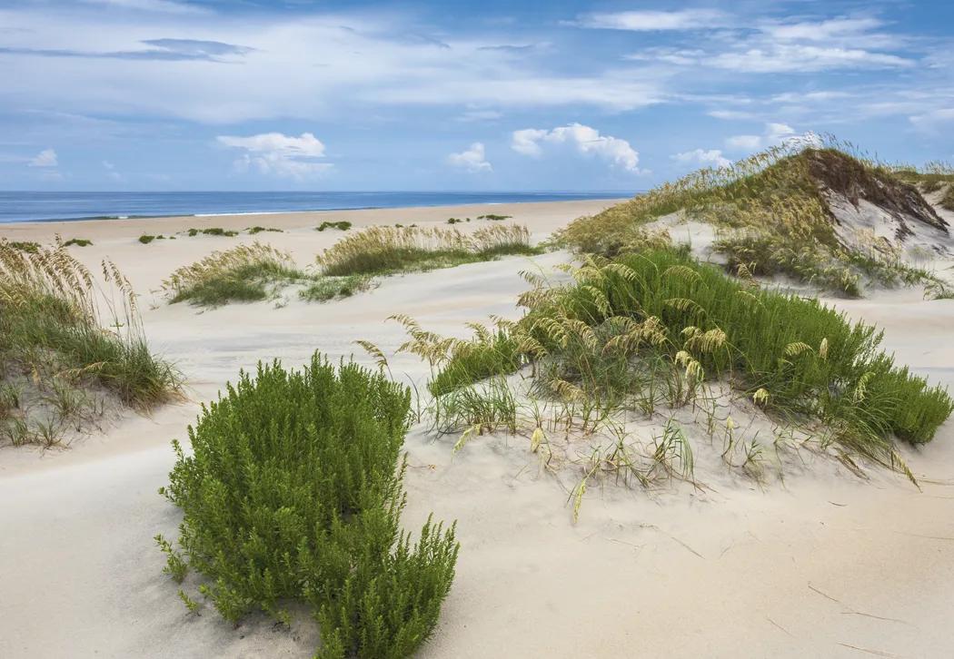 Scenic America Wall Calendar FSC Paper UV Coated - 24 x 16.5 in - product view 9