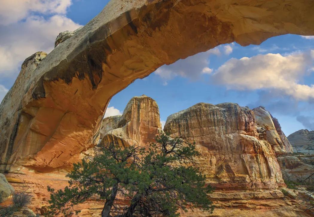 Scenic America Wall Calendar FSC Paper UV Coated - 24 x 16.5 in - product view 10