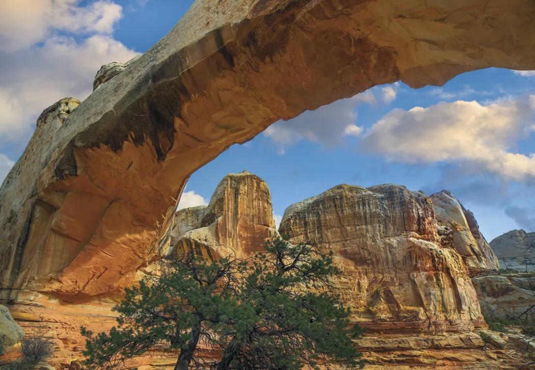 Scenic America Executive Wall Calendar White Ad Space - 24 x 16.5 in - product view 9