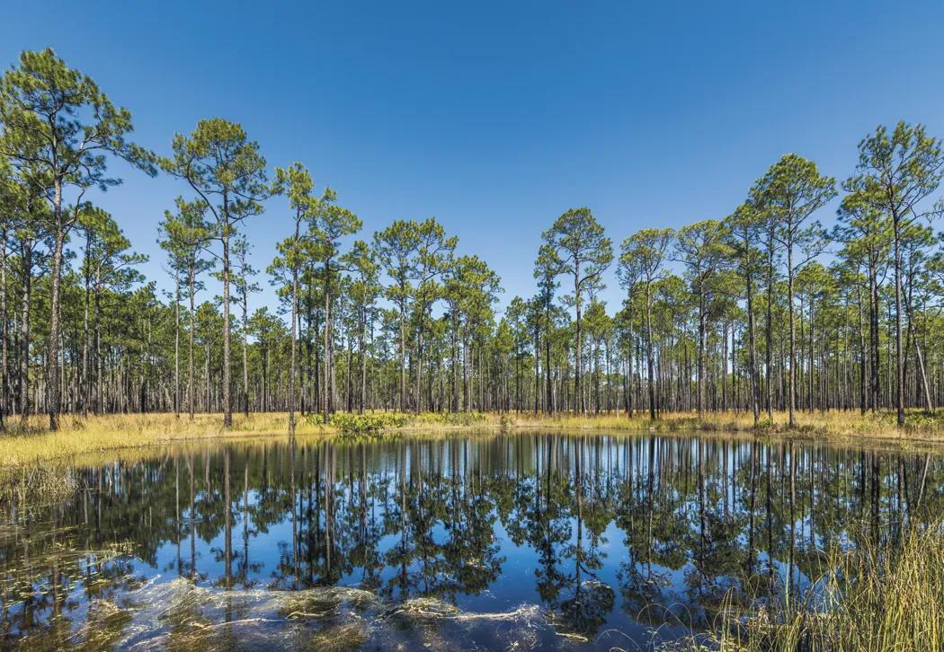 Scenic America Executive Wall Calendar White Ad Space - 24 x 16.5 in - product view 10