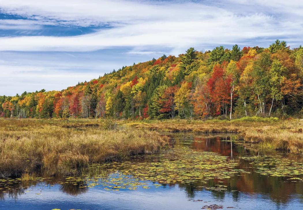 Scenic America Executive Wall Calendar White Ad Space - 24 x 16.5 in - product view 13