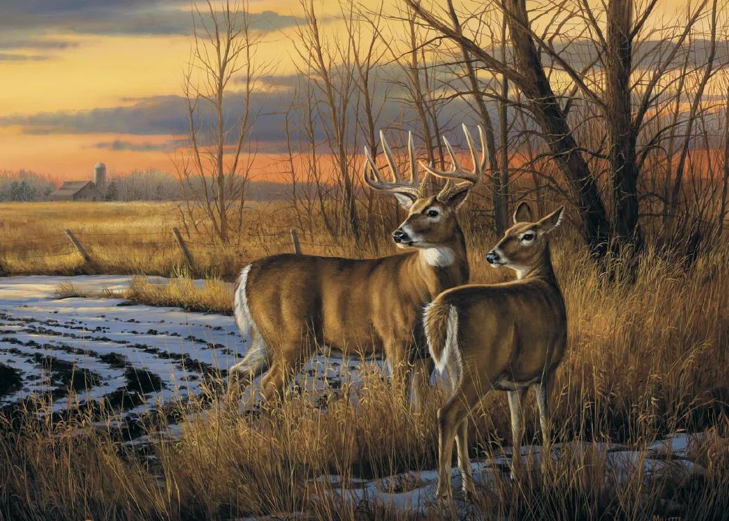 Jumbo Hanger Wall Calendar Billboard Style - 39 x 27 in - product view 16