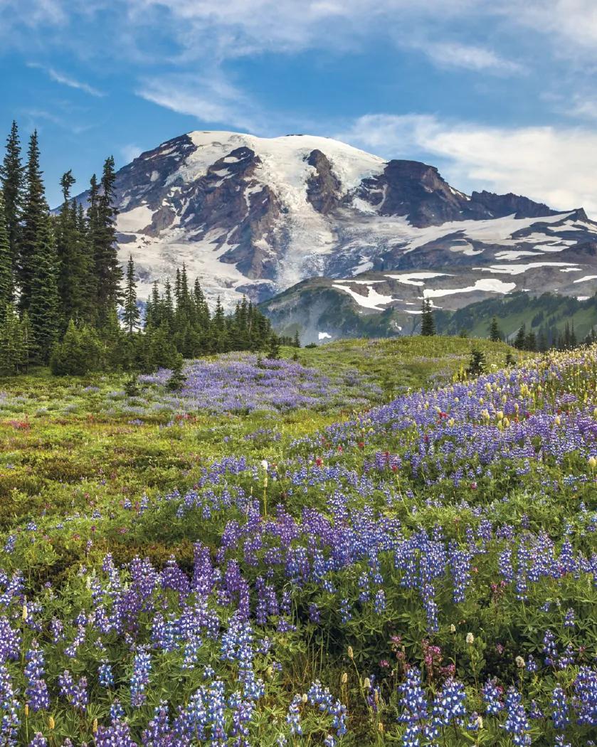 Scenic Photography Desk Pad Calendar America Beautiful - 17 x 23 in - product view 7