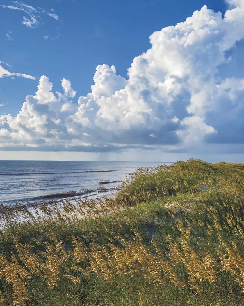 Scenic Photography Desk Pad Calendar America Beautiful - 17 x 23 in - product view 11