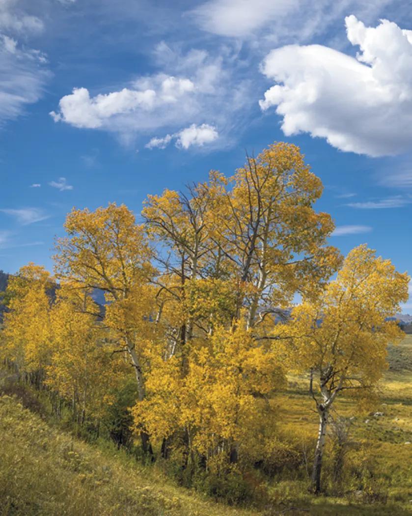 Scenic Photography Desk Pad Calendar America Beautiful - 17 x 23 in - product view 16